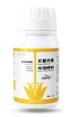 玉米粒满素