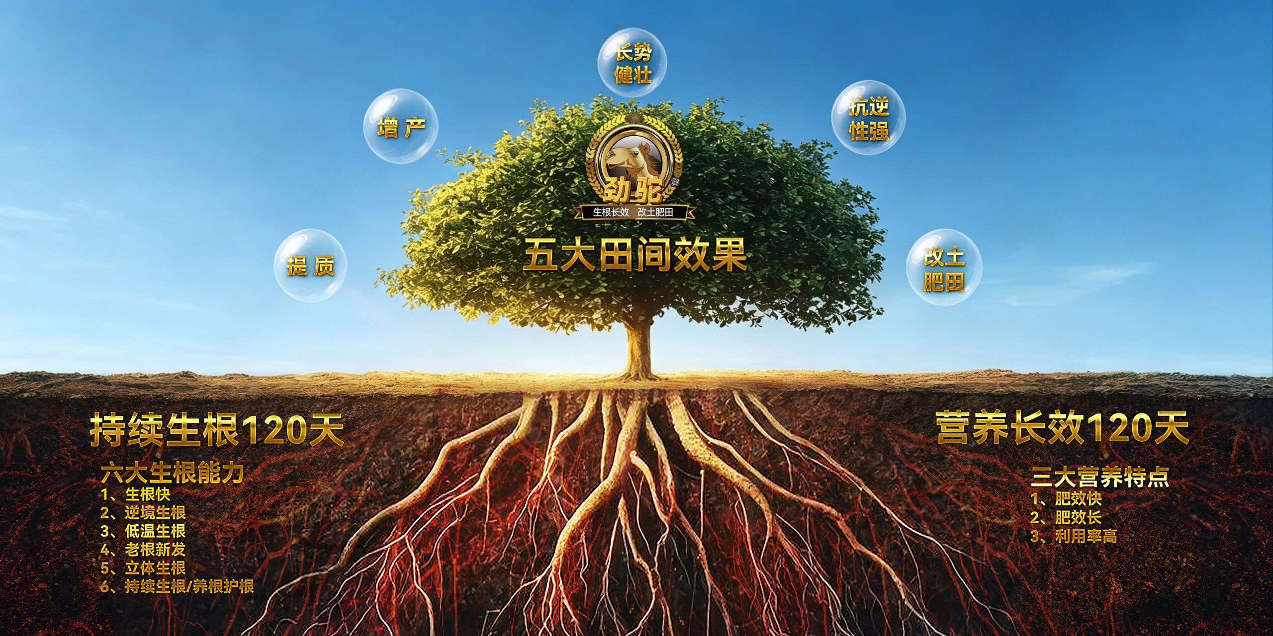 0aa0504c5ca737123cb8d8a618510850 - 副本